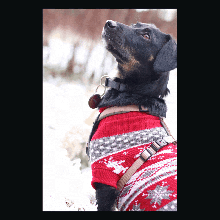 photo &amp; editing © Nadine Bankwitz. 2023