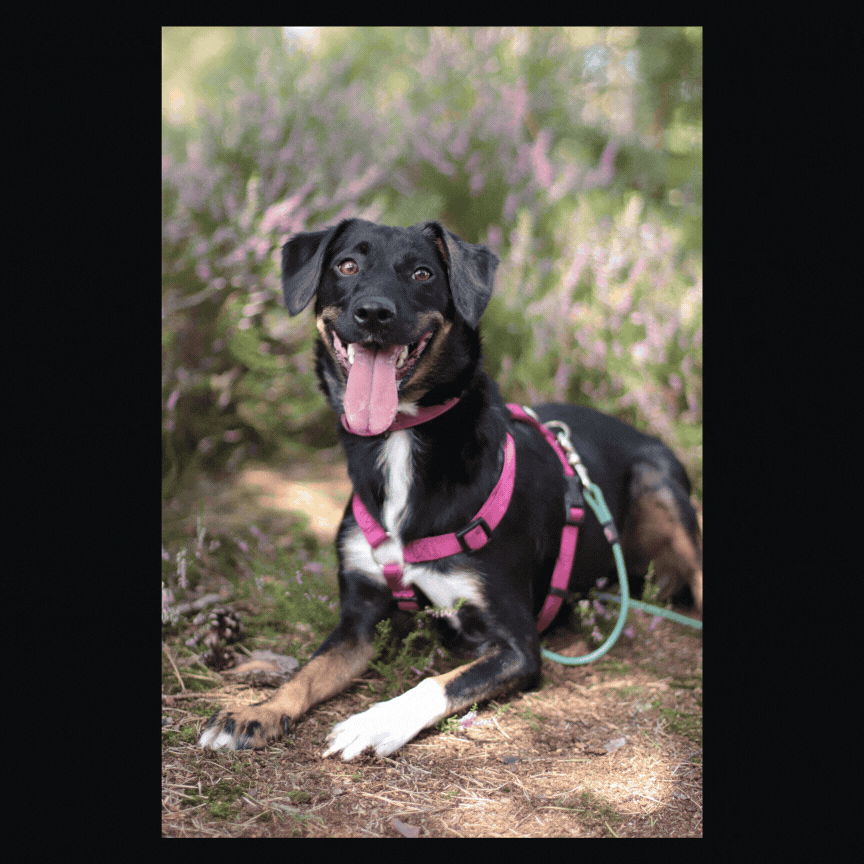 photo &amp; editing © Nadine Bankwitz. 2024