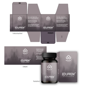 Produktentwurf für die Firma Edubily.