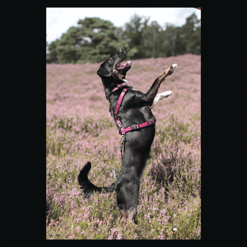 photo &amp; editing © Nadine Bankwitz. 2024